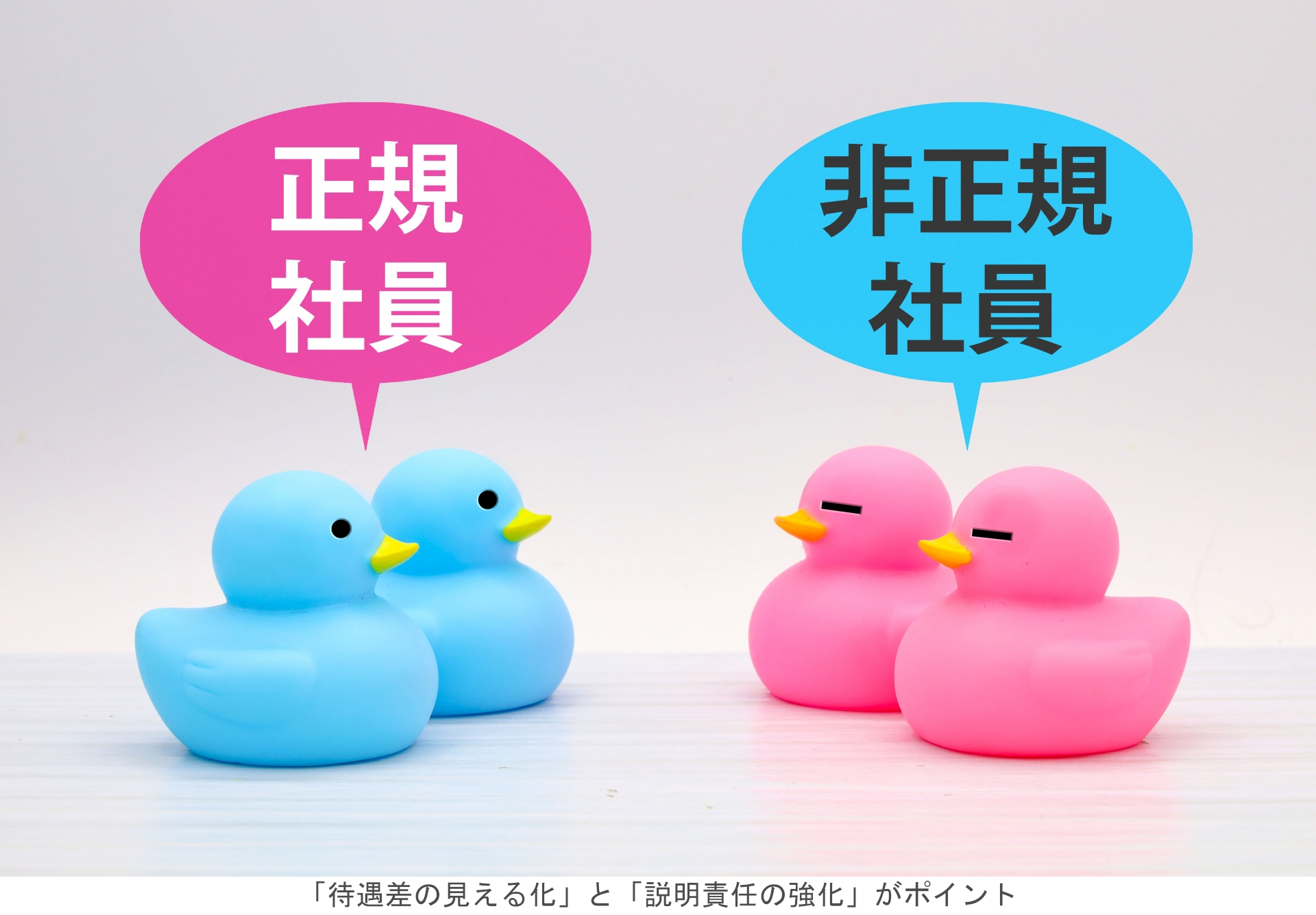 待遇差の見える化」と「説明責任の強化」がポイント