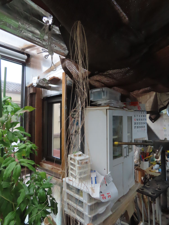 クリックすると拡大します