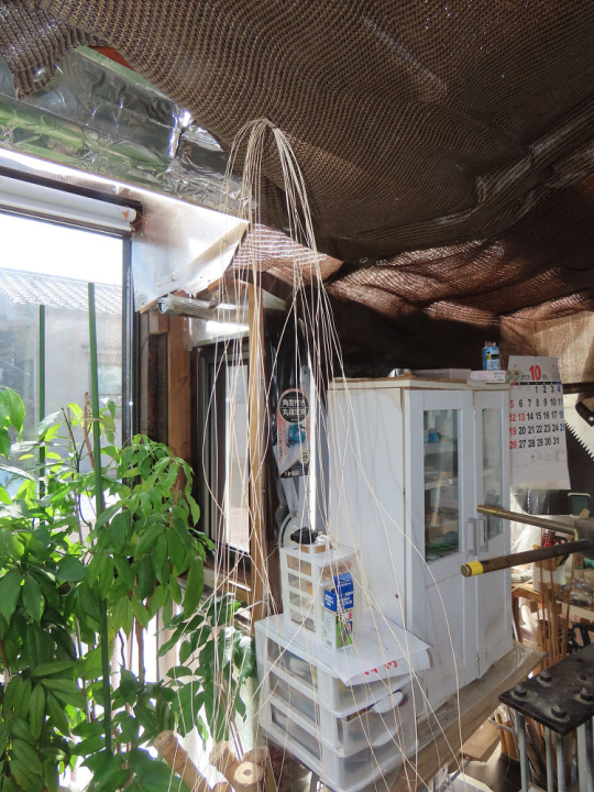 クリックすると拡大します