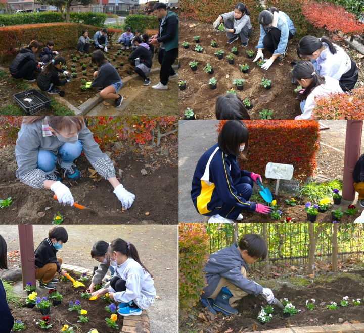 クリックすると拡大します