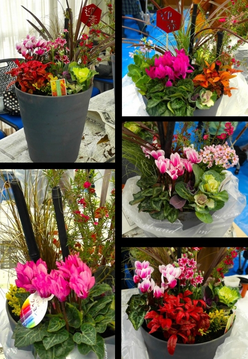 クリックすると拡大します