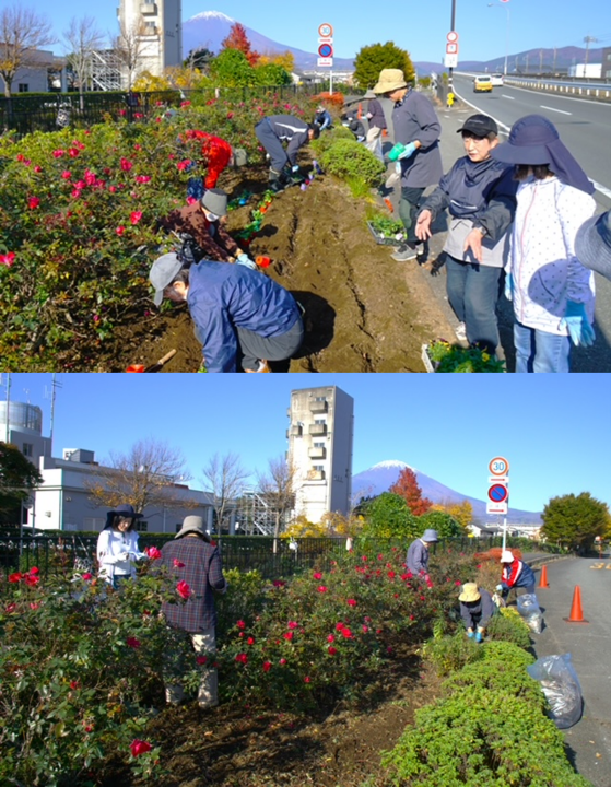 クリックすると拡大します