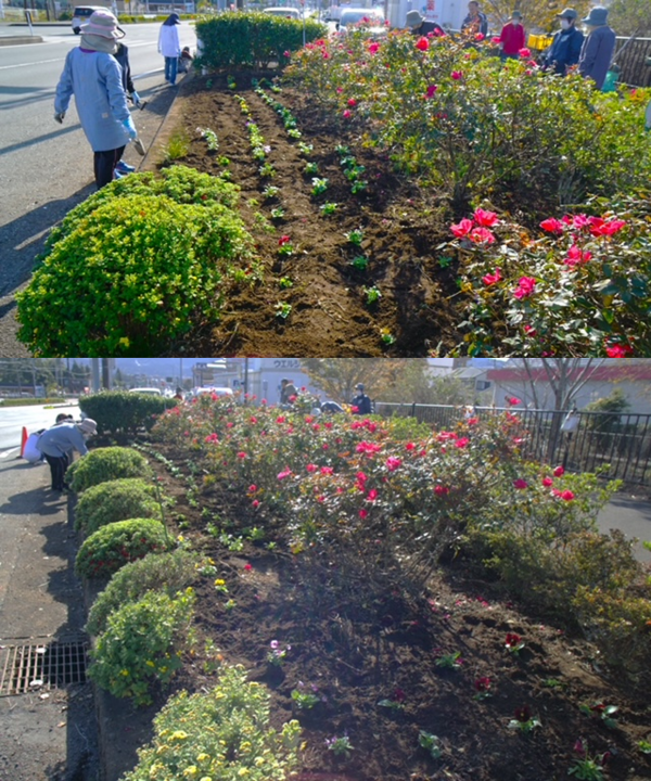 クリックすると拡大します