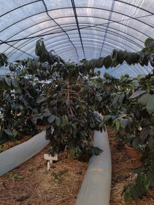 クリックすると拡大します