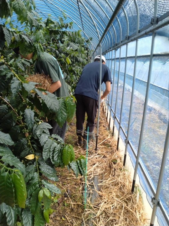 クリックすると拡大します