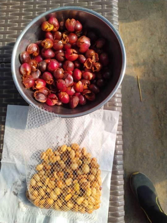 クリックすると拡大します