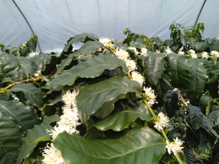 クリックすると拡大します