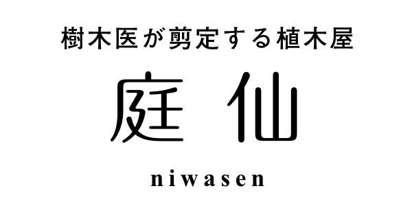 庭仙