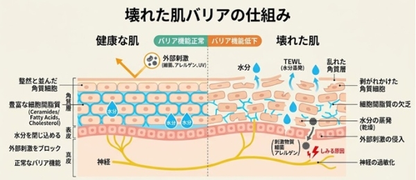 横浜市金沢区六浦皮ふ科
