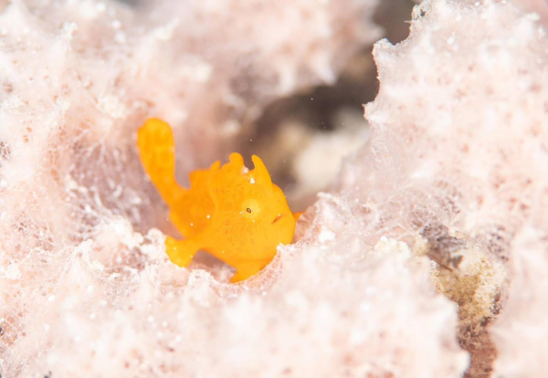 横浜市金沢区六浦皮ふ科
