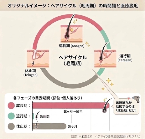 横浜市金沢区六浦皮ふ科