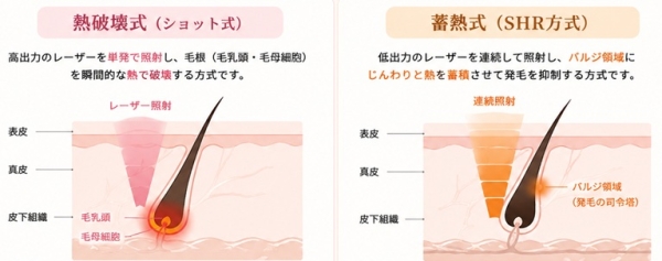 横浜市金沢区六浦皮ふ科