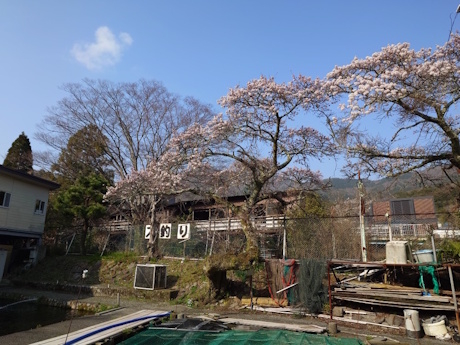 クリックすると拡大します