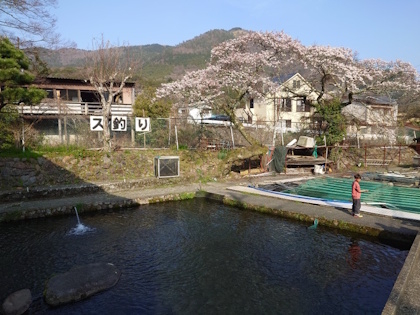 クリックすると拡大します