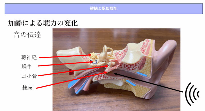 クリックすると拡大します