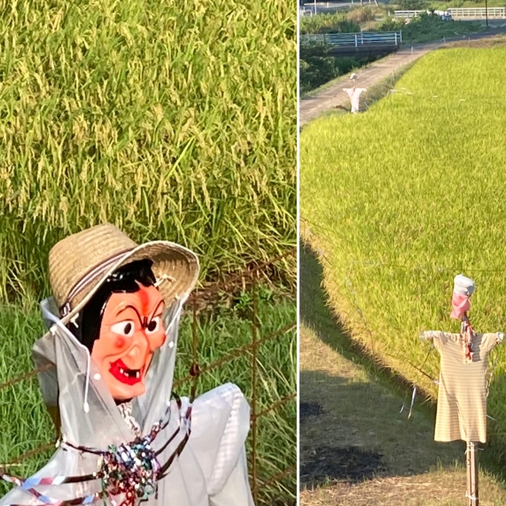 クリックすると拡大します