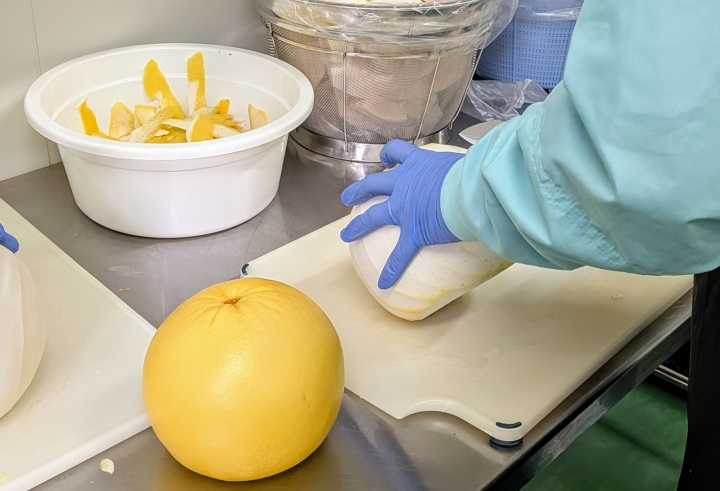 クリックすると拡大します