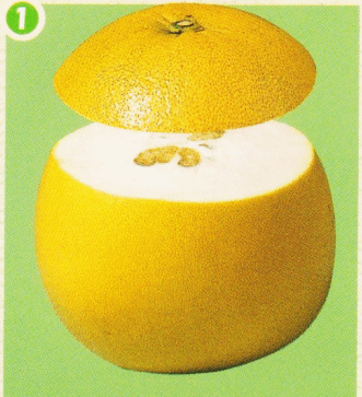 クリックすると拡大します