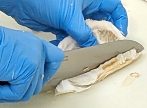 クリックすると拡大します