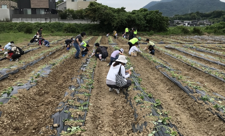 クリックすると拡大します