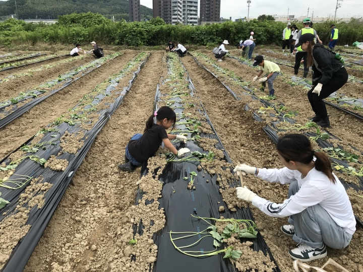 クリックすると拡大します