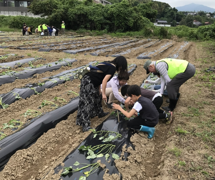 クリックすると拡大します