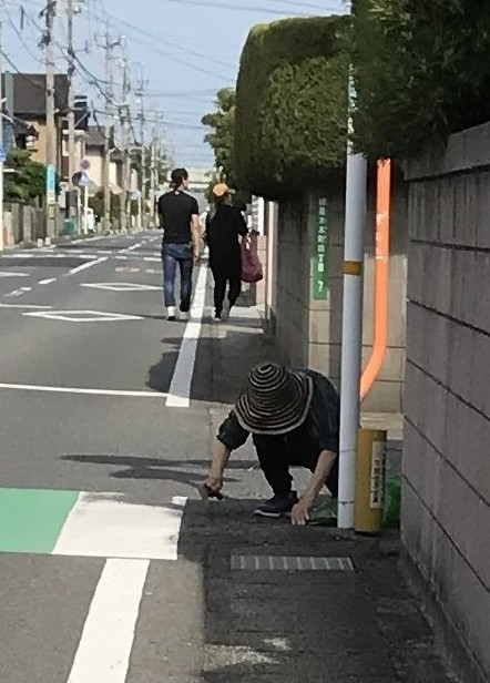 クリックすると拡大します