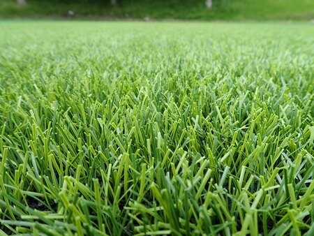 クリックすると拡大します