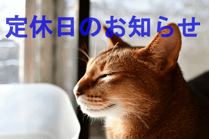 クリックすると拡大します