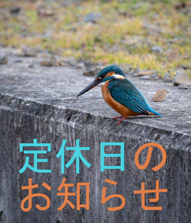 クリックすると拡大します