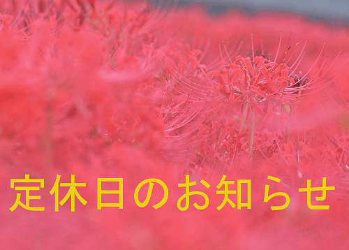 クリックすると拡大します