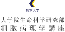 熊本大学大学院生命科学研究部 細胞病理学講座