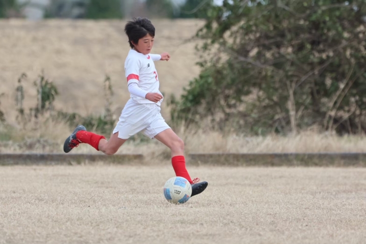 クリックすると拡大します