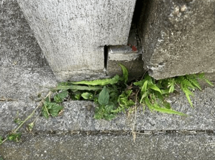 クリックすると拡大します