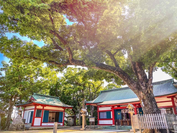 クリックすると拡大します