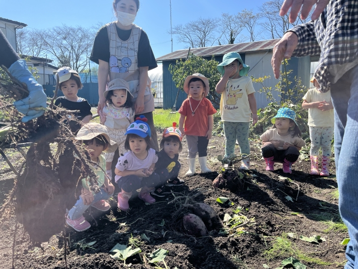 クリックすると拡大します