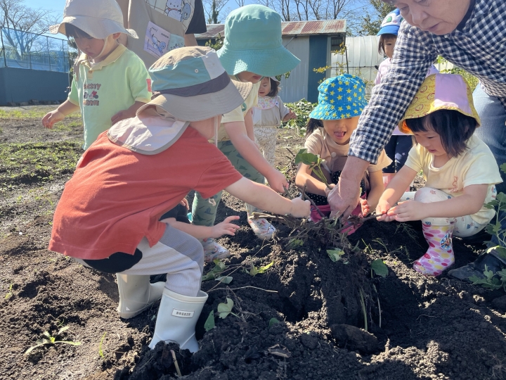 クリックすると拡大します