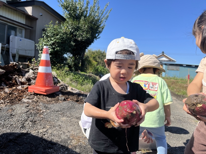 クリックすると拡大します