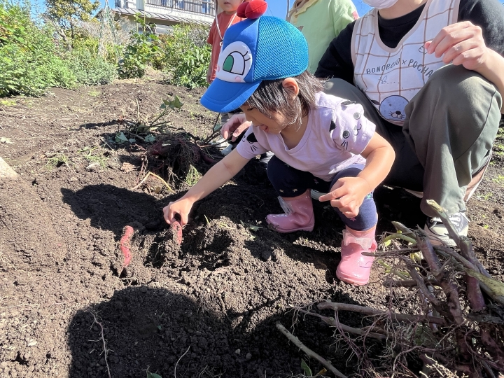 クリックすると拡大します