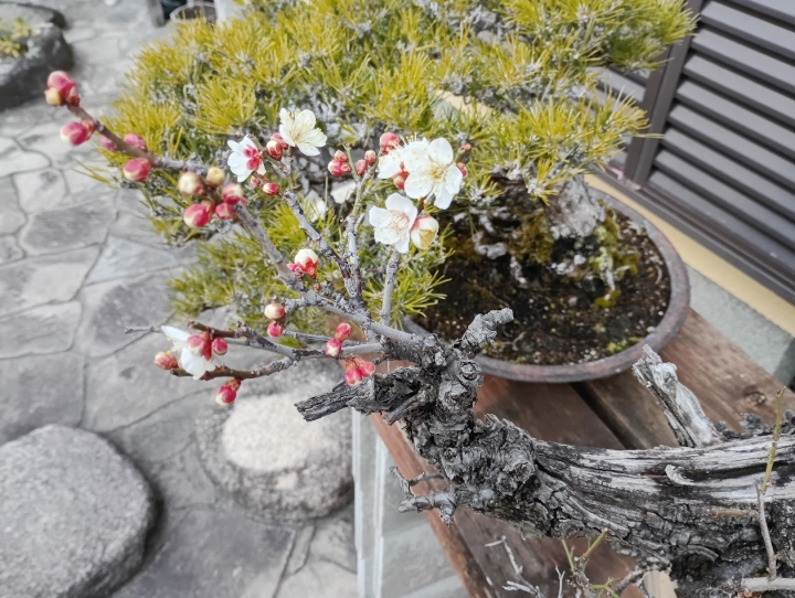 クリックすると拡大します