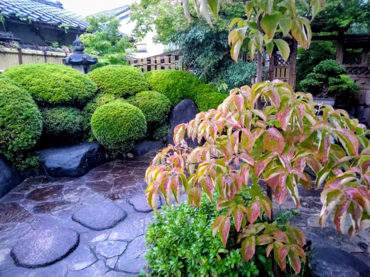 クリックすると拡大します