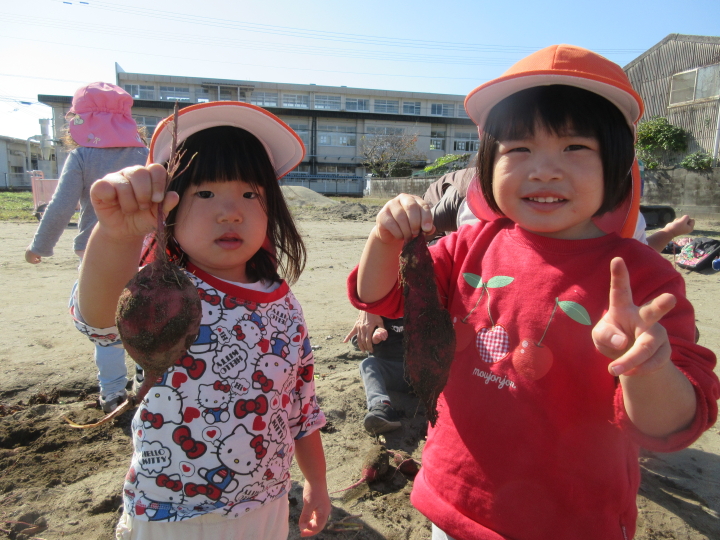クリックすると拡大します
