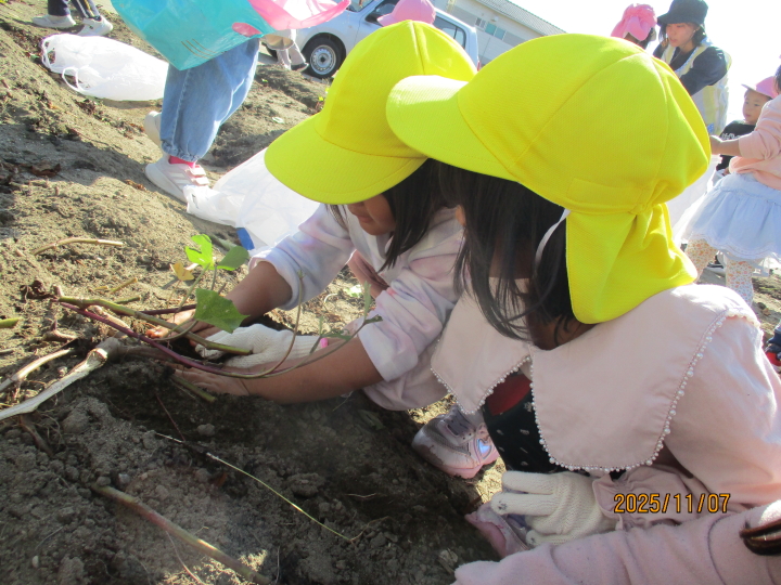 クリックすると拡大します