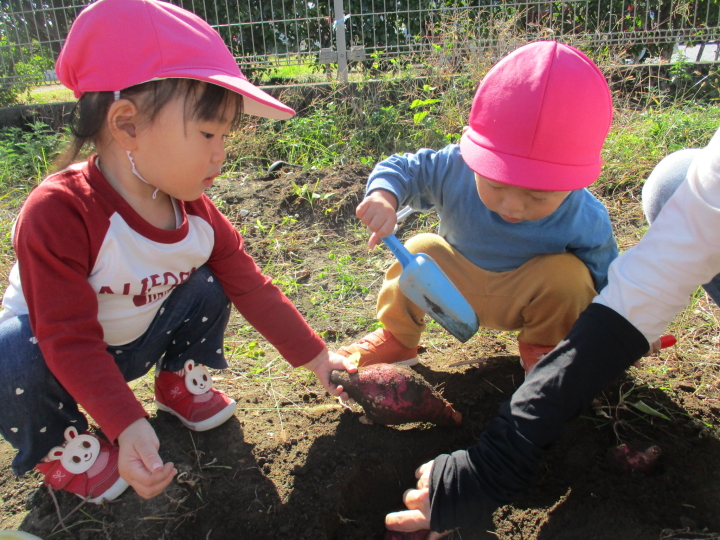 クリックすると拡大します