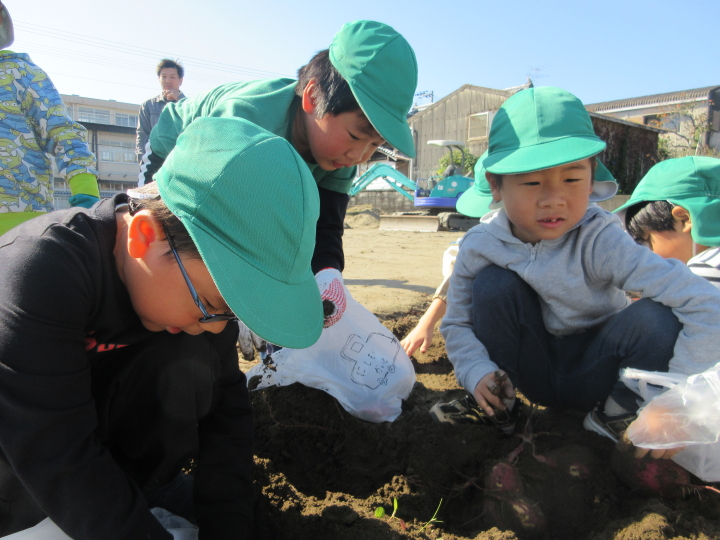 クリックすると拡大します