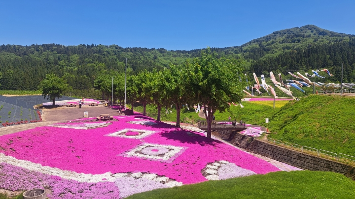 クリックすると拡大します
