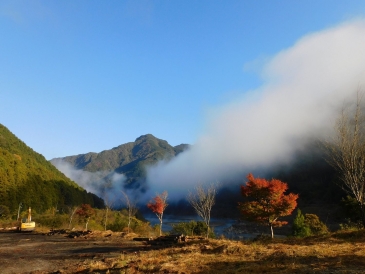 公益財団法人　熊野林業