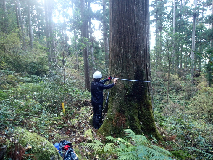 クリックすると拡大します