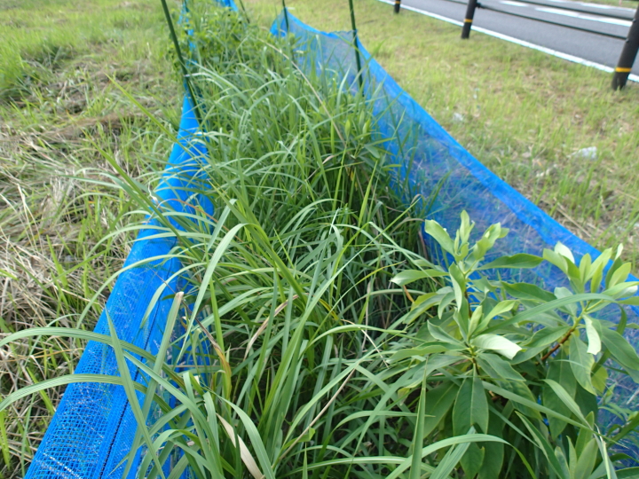クリックすると拡大します