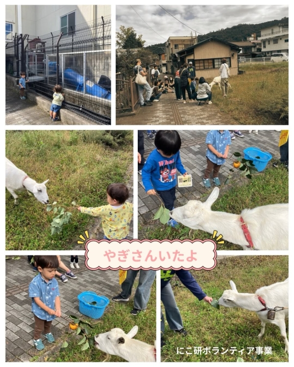 クリックすると拡大します